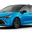 Toyota Corolla 2019 masuk pasaran Jepun – tampilkan sedikit perbezaan, tiga pilihan enjin dan bentuk badan
