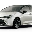 Toyota Corolla 2019 masuk pasaran Jepun – tampilkan sedikit perbezaan, tiga pilihan enjin dan bentuk badan