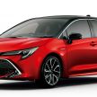 Toyota Corolla 2019 masuk pasaran Jepun – tampilkan sedikit perbezaan, tiga pilihan enjin dan bentuk badan