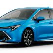 Toyota Corolla 2019 masuk pasaran Jepun – tampilkan sedikit perbezaan, tiga pilihan enjin dan bentuk badan