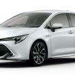 Toyota Corolla 2019 masuk pasaran Jepun – tampilkan sedikit perbezaan, tiga pilihan enjin dan bentuk badan