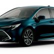 Toyota Corolla 2019 masuk pasaran Jepun – tampilkan sedikit perbezaan, tiga pilihan enjin dan bentuk badan