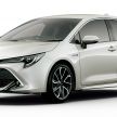 Toyota Corolla 2019 masuk pasaran Jepun – tampilkan sedikit perbezaan, tiga pilihan enjin dan bentuk badan