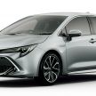Toyota Corolla 2019 masuk pasaran Jepun – tampilkan sedikit perbezaan, tiga pilihan enjin dan bentuk badan