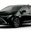 Toyota Corolla 2019 masuk pasaran Jepun – tampilkan sedikit perbezaan, tiga pilihan enjin dan bentuk badan