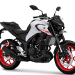 2020 Yamaha MT-25 now in Indonesia, RM15,921
