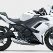Kawasaki Ninja 650 2020 – kini guna panel meter TFT