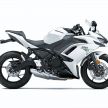 Kawasaki Ninja 650 2020 – kini guna panel meter TFT