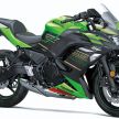 Kawasaki Ninja 650 2020 – kini guna panel meter TFT