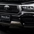Toyota Hilux Wald Black Bison kit available in Malaysia