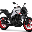 Yamaha MT-25 dinaik taraf di Indonesia – lebih garang