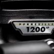 2020 Triumph Bobber TFC – 750 made worldwide