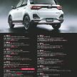 Daihatsu Rocky – official range of accessories out