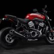2021 Harley-Davidson Custom 1250 due for release?