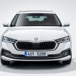 New Skoda Octavia – bigger, more tech, new iV PHEV