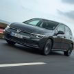 MEGA GALLERY: Volkswagen Golf Mk8 gets detailed