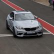 VIDEO: 2019 BMW M Festival in Joburg, South Africa