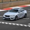 VIDEO: 2019 BMW M Festival in Joburg, South Africa