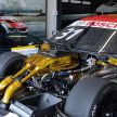 VIDEO: 2019 BMW M Festival in Joburg, South Africa