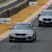 VIDEO: 2019 BMW M Festival in Joburg, South Africa