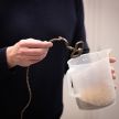 Ford turns McDonald’s coffee waste into headlights