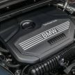 GALERI: BMW X1 sDrive20i M Sport F48 di Malaysia