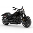 Harley-Davidson Fat Boy 30th Anniversary – 2,500 unit