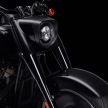 2020 Harley-Davidson Fat Boy 30th Anniversary – limited to 2,500 units worldwide, RM90,540 in US