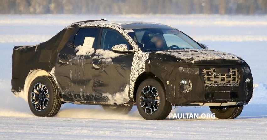SPYSHOTS: Hyundai Santa Cruz pick-up seen testing 1076659