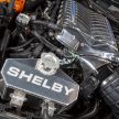 Shelby Signature Series Mustang – 825 hp, 50 units