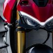 GALERI: Ducati Streetfighter V4, V4S – 208 hp, 123 Nm