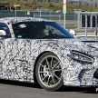 Mercedes-AMG GT Black Series leaked before debut