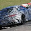 Mercedes-AMG GT Black Series leaked before debut