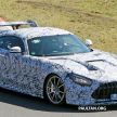 Mercedes-AMG GT Black Series leaked before debut