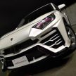 Toyota RAV4 Albermo XR51 – Urus palsu dari Jepun