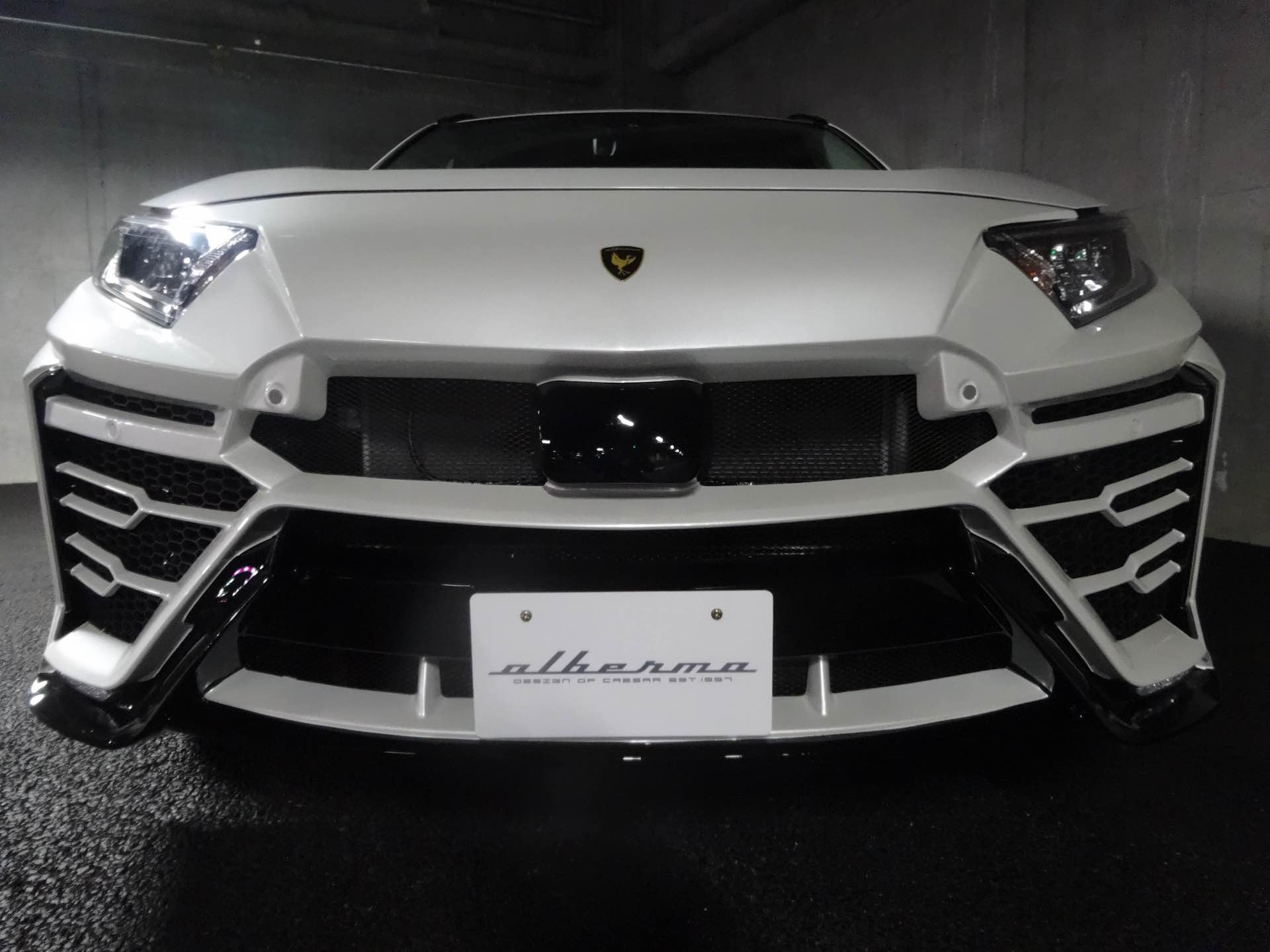 Toyota RAV4 Albermo XR51 – Urus palsu dari Jepun