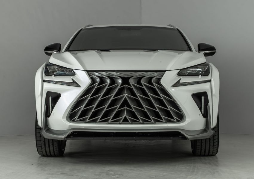 Lexus RX, NX gain wild Goemon and Kotaro body kits 1124021