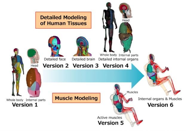 Toyota offers free access to Total Human Model for Safety software to help vehicle safety development