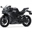 Kawasaki ZX-25R dilancar di Indonesia – dua versi, kuasa 51 PS dan 22.9 Nm, harga bermula RM28k
