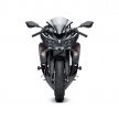 Kawasaki ZX-25R dilancar di Indonesia – dua versi, kuasa 51 PS dan 22.9 Nm, harga bermula RM28k