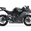 Kawasaki ZX-25R dilancar di Indonesia – dua versi, kuasa 51 PS dan 22.9 Nm, harga bermula RM28k