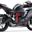 Kawasaki ZX-25R dilancar di Indonesia – dua versi, kuasa 51 PS dan 22.9 Nm, harga bermula RM28k