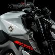 2021 Yamaha MT-09 gets upsized engine for Euro 5?