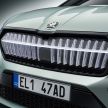 Skoda Enyaq iV electric SUV revealed – up to 510 km of range, performance RS model with 302 hp, 460 Nm