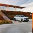 Audi Q8 TFSI e quattro – model plug-in hybrid didedah dengan kuasa sehingga 462 PS dan tork 700 Nm
