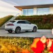 Audi Q8 TFSI e quattro – model plug-in hybrid didedah dengan kuasa sehingga 462 PS dan tork 700 Nm