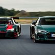 Audi R8 Green Hell diperkenalkan – terhad 50 unit saja