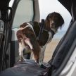 2021 Land Rover Discovery – facelifted seven-seater receives updated engines, improved second-row seats