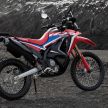2021 Honda CRF250L and CRF250L Rally launched in Japan – full makeover, new frame, less weight