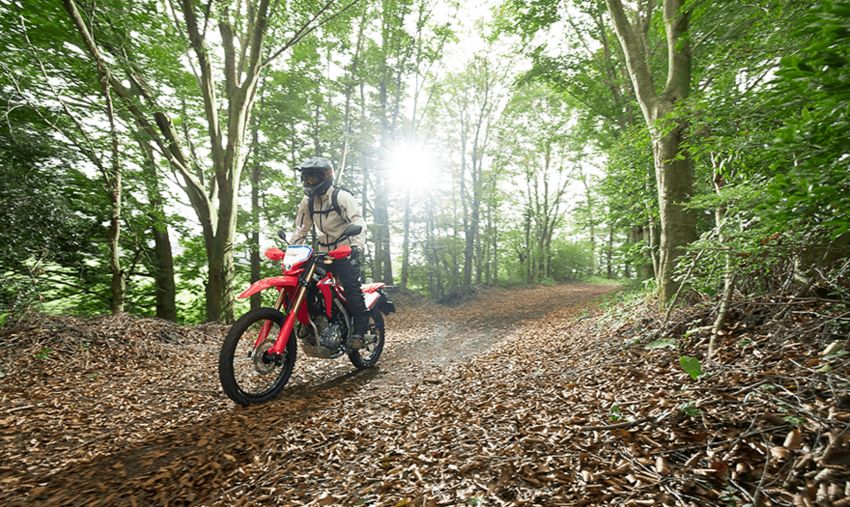 2021 Honda CRF250L and CRF250L Rally launched in Japan – full makeover, new frame, less weight 1210706